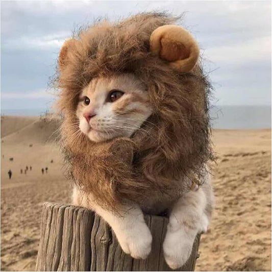 Cat Wig Funny Cute Cat Costume Hat Lion Mane Accessories Dress Up Clothing Festival Party (Brown, Medium)