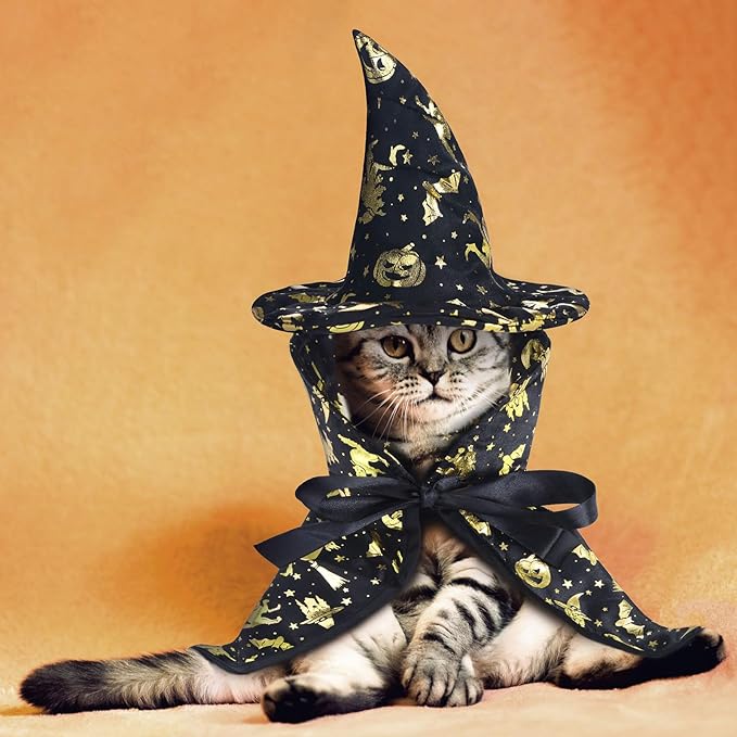 Frienda 2 Pieces Halloween Cat Costume Funny Wick Pet Vampire Cloak Witch Cape and Hat for Kitten Puppy Small Cat Dog Cosplay Halloween Party Supplies(Glitter Pumpkins)