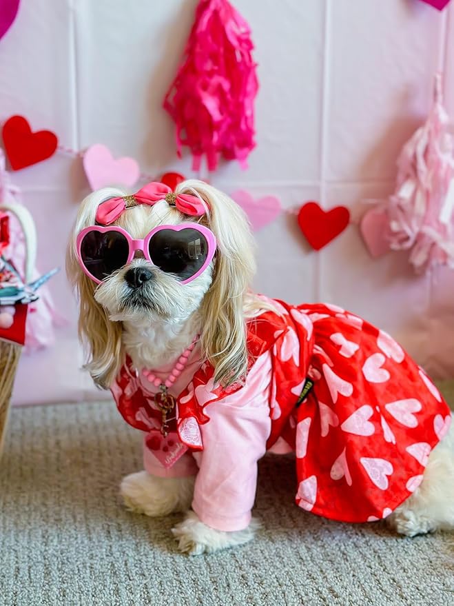 Fitwarm Valentine's Day Sweet Heart Dog Dress, Dog Holiday Outfit, Red, Pink, Medium