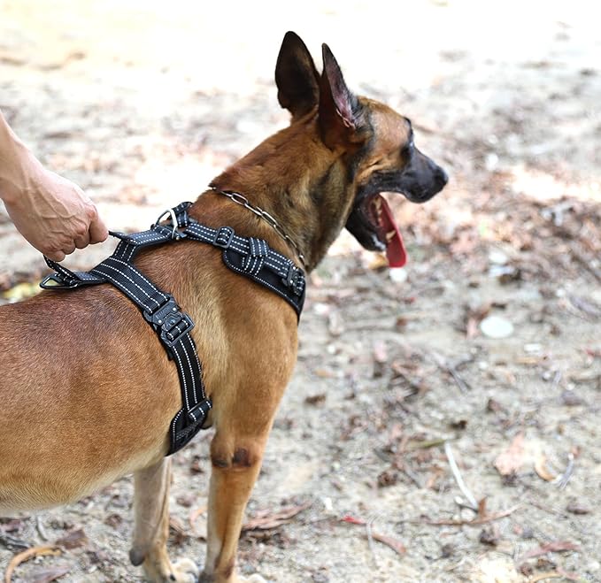 ICEFANG Dog Strap Harness with 4 x Metal Buckles,for Medium Sized Dog,K9 Vest,Y-Shape Chest,Adjustable Pet Harness,No-Pull Front Leash Clip (Medium (Pack of 1), Black)