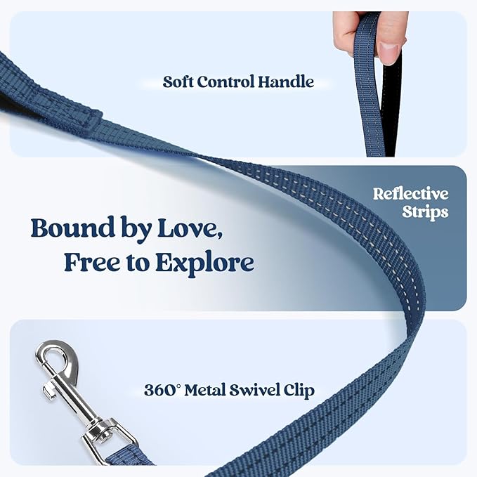 rabbitgoo Dog Harness Small Sized and Leash Set, Step in Soft Light Puppy Vest, Breathable Mesh Pet Harness, Reflective for Outdoor Safe Walking, Navy Blue XL