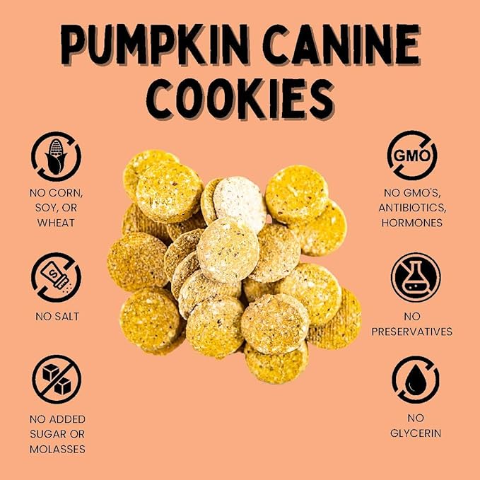 Winnie Lou Organic Healthy Dog Treats – All Natural Crunchy Dog Biscuits Made in USA with Organic Ingredients from Colorado Farms – for Small, Medium, Large Dogs - Pumpkin Apple Cookies (Pack of 2)