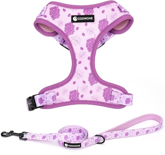 Dog Harness and Leash Set, Adjustable Dog Harness, Dog Leash, No Pull No Choke Puppy Harnesses for Walking Training for Small Medium Pet (Wines, L(Chest 18.5-27.1", Neck 14.5-20.1"))