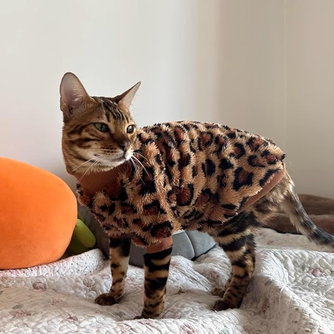 Cat Leopard Double-Sided Fleece Pullover, Soft Warm Clothes for Hairless Sphynx, Devon & All Indoor Kittens in Winter (Leopard,XL)