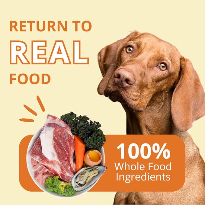 Steve's Real Food Freeze-Dried Raw Nuggets - Pork Recipe - Raw Pet Food for Dogs and Cats - 20 oz