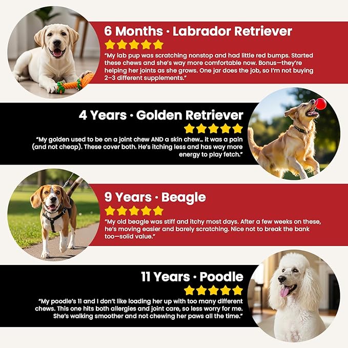 Dog Allergy Chews Hip and Joint Supplement for Dogs with Glucosamine Chondroitin for Anti Itch Skin Paw Pain Relief and Immune Pet Allergies Treats Chews for Itching and Licking Health Supplement Dogs