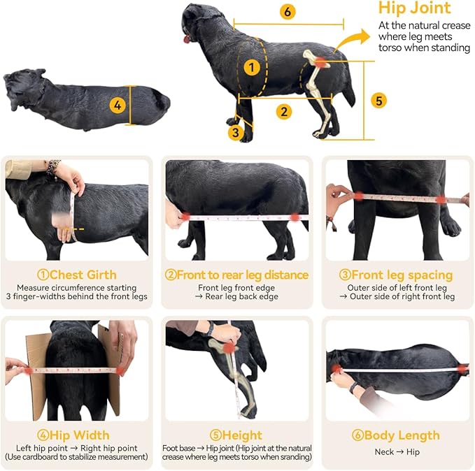 Dog Wheelchair for Back Legs, Newly Wheelchair for Small to Medium Dogs, Adjustable Dog Carts with Wheels for Disabled Hind Leg, All-Terrain Tires Wheels for Dogs Back Legs - L