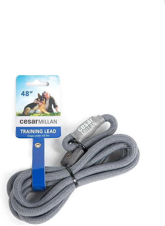 Cesar Millan Slip Lead Leash™ - 2-in-1 Slip Collar Dog Training Lead & Collar | Heavy Duty Durable Weatherproof Rope Leash, No Pull Training | Length 4ft Diameter 4/10”(Regular, Grey)