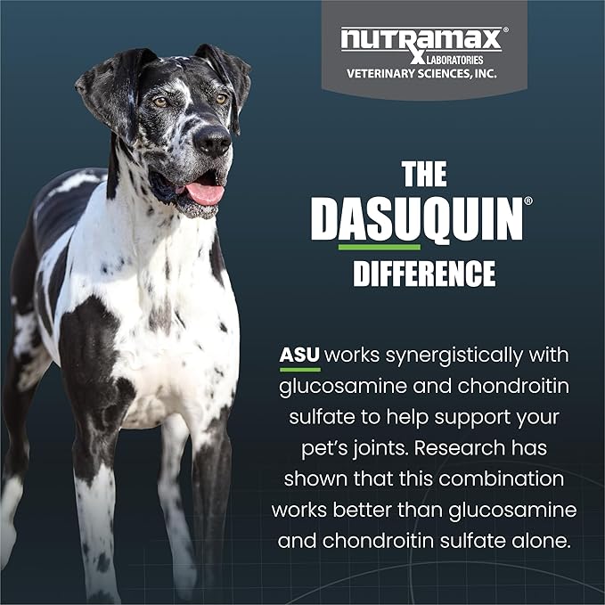 Dasuquin Soft Chews for Dogs 60 lbs and over, 84 Chews