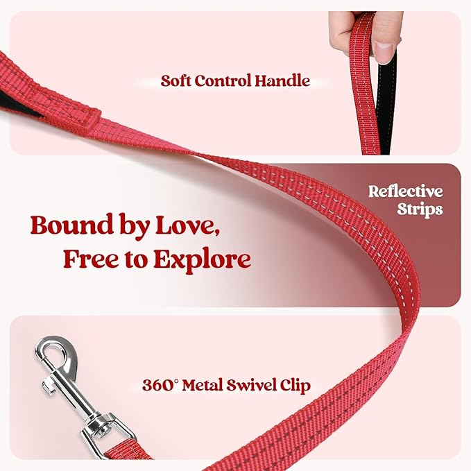 rabbitgoo Dog Harness Small Sized and Leash Set, Step in Soft Light Puppy Vest, Breathable Mesh Pet Harness, Reflective for Safe Easy Walking, Red XS