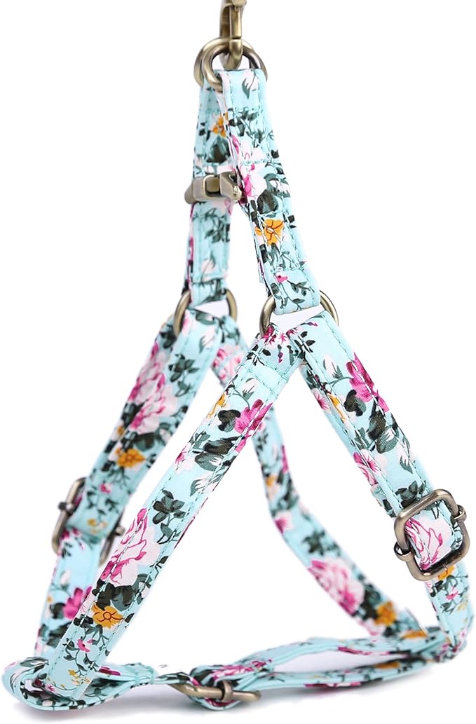 Angie and Allie Organic Cotton Personalized Step in Dog Harness,Custom Dog Halter Vests,Adjustable No Pull Canine Halter Harness for Small Medium Large Dogs