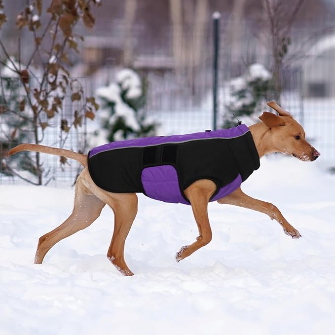 Kuoser Dog Jacket, Warm Dog Coats for Small Dogs, Reflective Doggie Winter Jacket Cold Weather Pet Coats with Leash Hole, Winter Coat Apparel for Yorkie Chihuahua, Purple XS