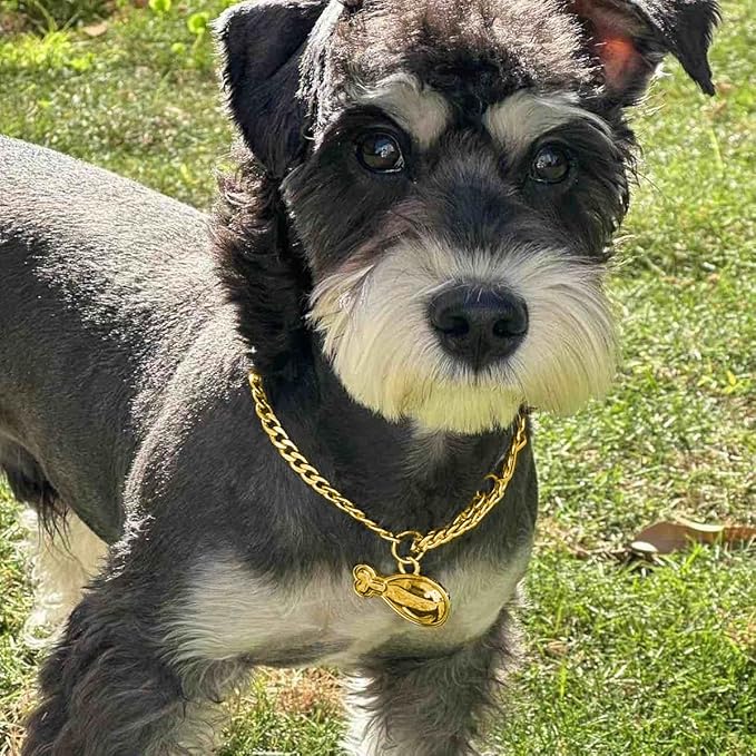 Dogs ID Tags Personalized Double Sided Deep Engraved Cat & Dog Collar Charm Drumstick Balloon Shape Brass