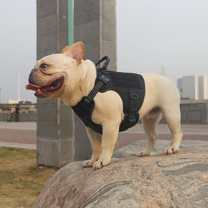 ICEFANG Tactical Dog Harness, Small Size,2X Metal Buckle,Working Dog MOLLE Vest with Handle,No Pulling Front Leash Clip,Hook and Loop Panel (Black,S (Pack of 1))