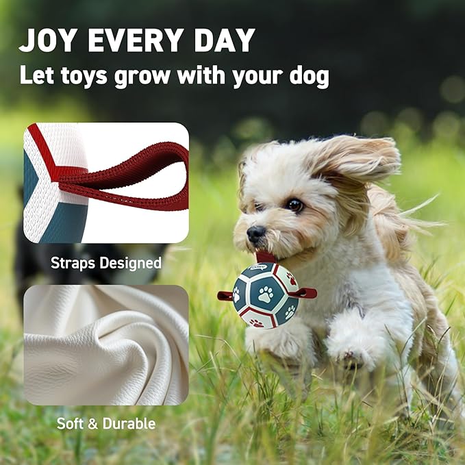 QDAN Small Dog Toys, Puppy Balls, Dog Balls with Straps for Small Breed, Soccer Ball for Dogs, Puppy Toys, Dog Birthday Gift (Blue Red, 3.5 inch)