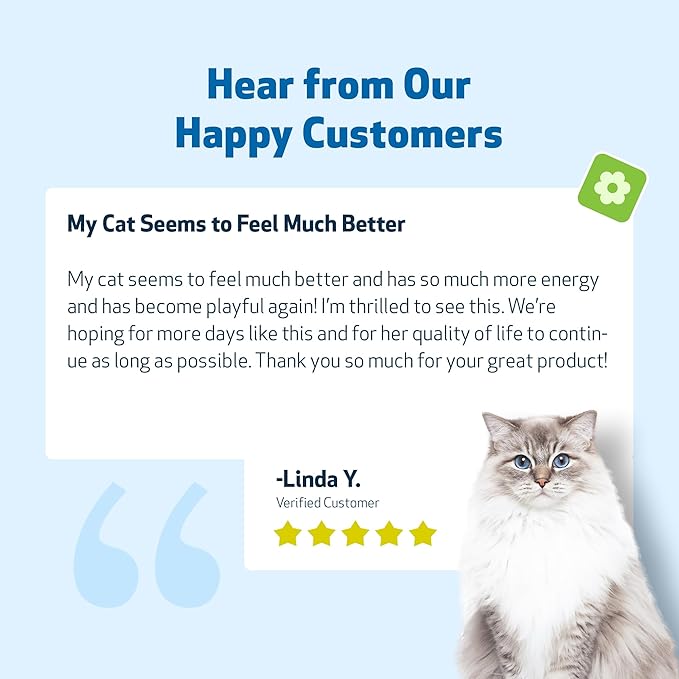 Pet Wellbeing Life Gold for Cats - Supports Detoxification, Immune System Health, Antioxidants - Vet-Formulated Herbal Supplement – 4 oz (118 ml)