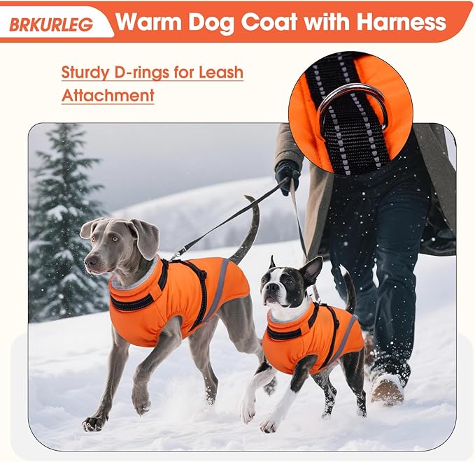 BRKURLEG Dog Winter Jackets for Large Dogs, Dog Coat with Harness Built in, Dogs Snowsuits with Zipper, Waterproof Windproof Pet Puffer Jacket Fleece Vest for Labrador, Dalmatian, Orange XXL