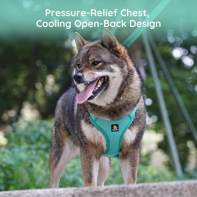 BELLA & PAL Adjustable Step-in Dog Harness, Puppy No-Pull Vest with Leash Set for XS/Small & Medium Dog, Breathable All-Weather Mesh, Reflective Strip, Secure Hook & Loop, Buckle Closure, Dual D-Rings