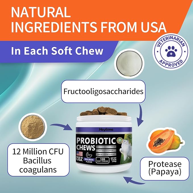 Cat Probiotic, Chews for Gut and Immune Health, Cats Probiotic Supplement for Cat Digestive Support, Healthy Digestion, Cat Constipation and Diarrhea Relief (Salmon, 120 Chews)