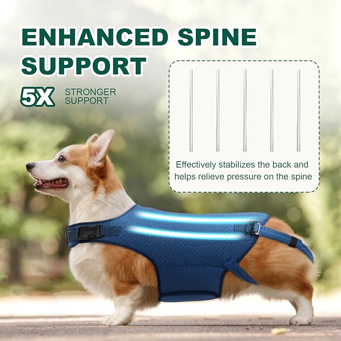 Dog Back Brace for IVDD, Arthritis, Slipped and Herniated Discs – Provides Back Support and Pain Relief, Stabilizes Spine for Surgical Recovery and Mobility, Dogs Back Disease Prevention(Blue,XL)