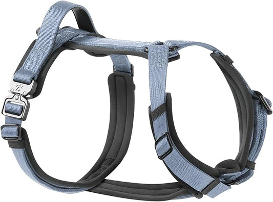 PawsPassion Dog Harness for Small Dogs, No Pull Dog Harness Easy Walk with Metal Hardware, Ergonomic Y-Shaped Design, Soft Padding, Padded Handle, Durable High-Tensile Nylon (Horizon, S)