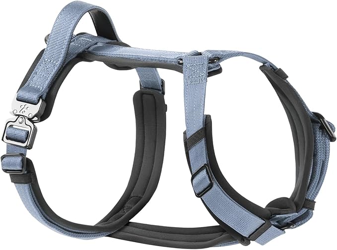 PawsPassion Dog Harness for Medium Dogs, No Pull Dog Harness Easy Walk with Metal Hardware, Ergonomic Y-Shaped Design, Soft Padding, Padded Handle, Durable High-Tensile Nylon (Horizon, M)