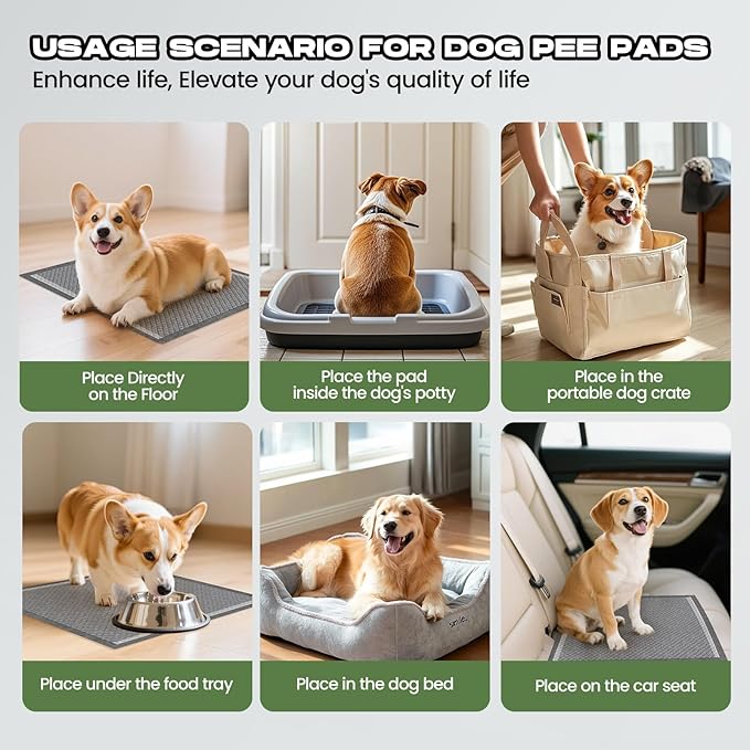 Charcoal Puppy Pads 100 Counts,22"x22" Dog Pee Pads Small Disposable Activated Carbon Super Absorbent Full Edge-Wrapping Pee Pads Odor-Control Training Pads for Doggie Cats Rabbits