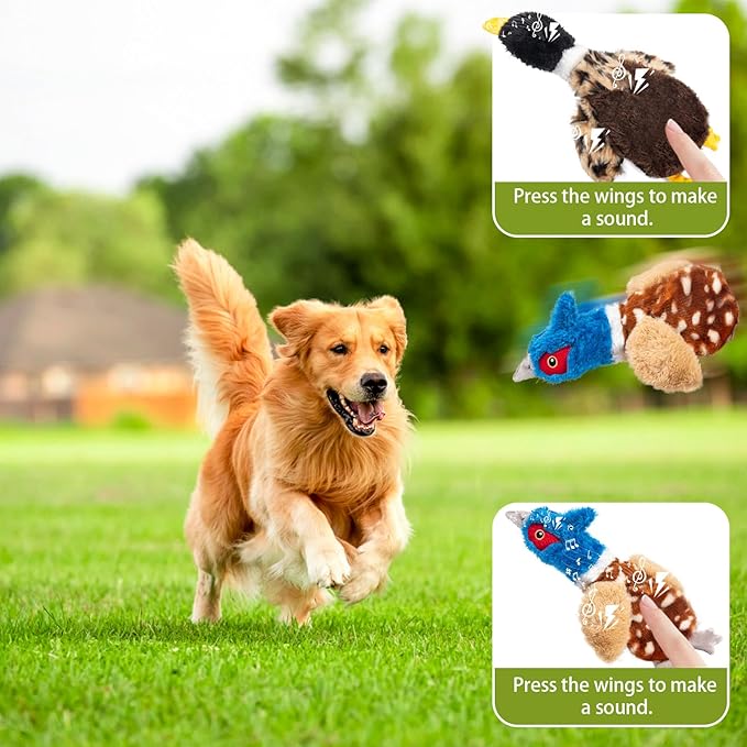 2-Pack Stuffing-Free Squeaky Dog Toys: Pheasant & Black-Headed Duck (4 Squeakers Each) | Hollow-Body Plush with Strategic Sound Zones