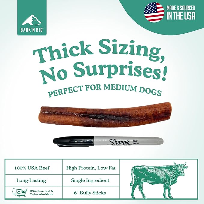 BARK'N BIG Thick 6 Inch Odor Free Bully Sticks for Dogs Made in USA - Single Ingredient Dog Chew - Premium Pizzle Sticks - Beef Pizzles for Small and Medium Breeds - 8 Count
