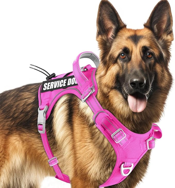 BARKBAY Service Dog Vest Tactical Dog Harness Medium Large Sized Dog Tags Personalized No Pull Adjustable Harness Reflective K9 Working Training Easy Control Military Molle System(Pink,XL)