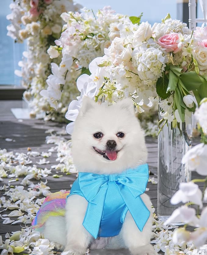 Dog Dress, Cute Princess Pet Dresses with Bow, Lace Pet Birthday Party Outfit for Small Dogs (Blue, L)