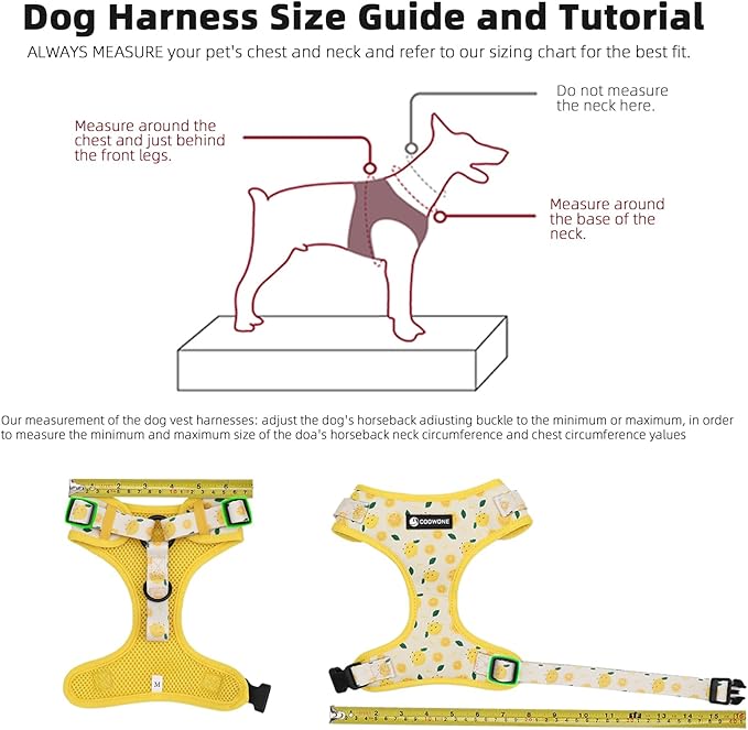 Dog Harness and Leash Set, Adjustable Dog Harness, Dog Leash, No Pull No Choke Puppy Harnesses for Walking Training for Small, Medium Pet (Little Love, XS(Chest 11-13", Neck 9-11"))