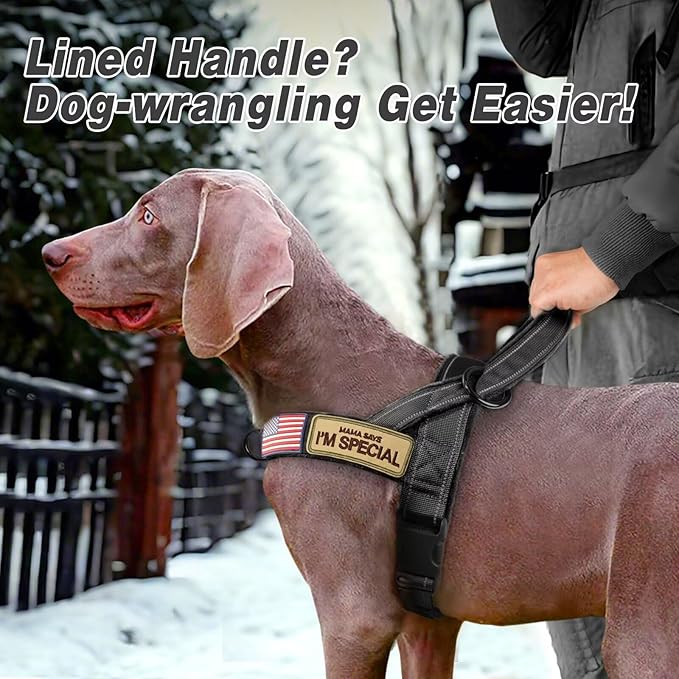 Forestpaw No Pull Dog Harness with Large Handle,Slip on Reflective Vest with Quick Release Buckle,Comfortable Flannel Lining for Medium Large Dogs Walking Training (Includes 3 Patches),Black L