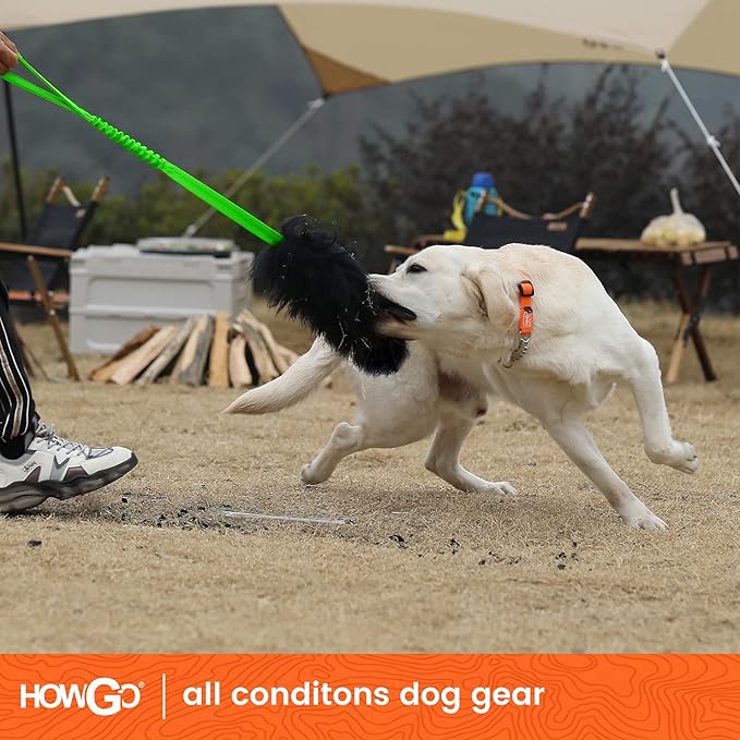 HOWGO Dog Rope Toy,Dog Bungee Chaser Toy 100% Sheepskin,Sheep Smell Tug Toy for All Breeds (Green, Long Without Ball)