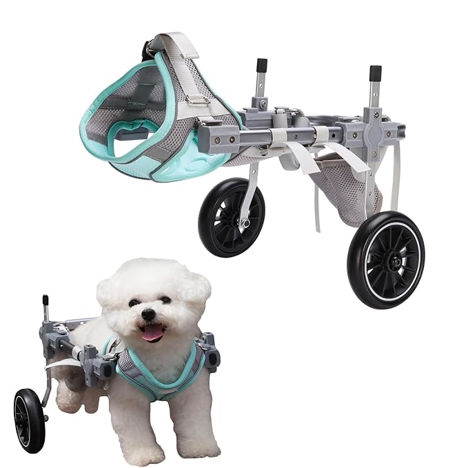 Dog Wheelchair for Back Legs，Adjustable Pets Cart Mobility Aids for Little Pets,Chest & Thigh Support,Suitable Small Medium Dogs (Two Rounds, M)