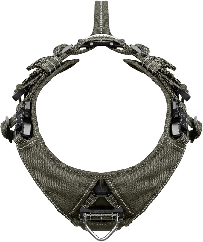 ICEFANG Dog Strap Harness with 4 x Metal Buckles,for Large Sized Dog,K9 Vest,Y-Shape Chest,Adjustable Pet Harness,No-Pull Front Leash Clip (Large (Pack of 1), Green)