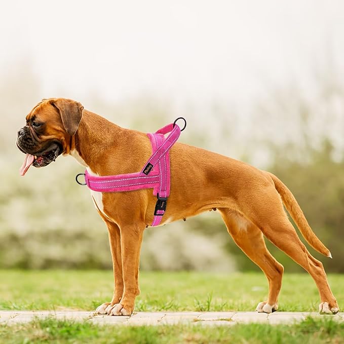 Didog Soft Flannel Padded Dog Vest Harness, No Pull/Quick Fit Reflective Dog Strap Harness, Easy for Training Walking (M:Chest 21-26", Hot Pink)