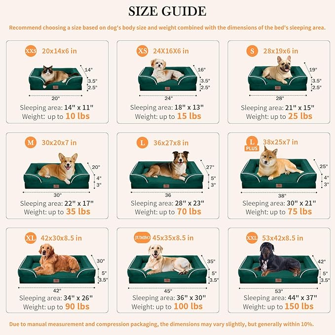 Comfort Expression Orthopedic Dog Bed for Small Dogs 20x14 Inch, Waterproof Supportive Egg Crate Foam Small Pet Bed with Removable Bolsters, Dog Couch with Washable Cover & Non-Slip Bottom, Emerald