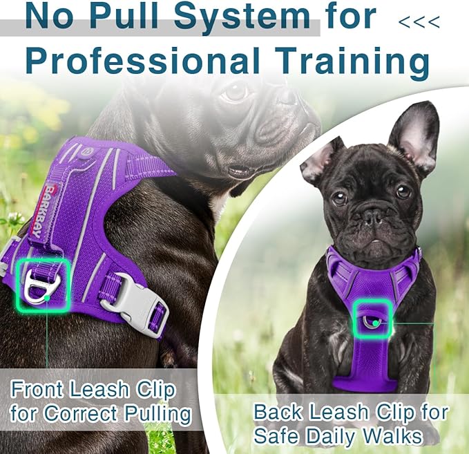 BARKBAY Dog Harness No Pull with ID Tag Pocket - Heavy Duty, Reflective, Easy Control for Large Dogs(Purple,XS)