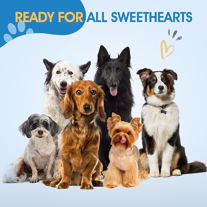 JASON Professional 6 in 1 Dog Scissors Kit - 7.5" Thinning, Chunker, Straight, Curved Shears and Comb for Cat, Rosegold