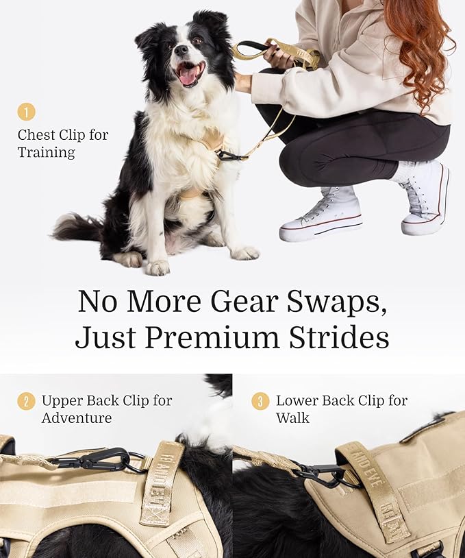 2025 New Edition, Fei & Eve Classic Dog Harness - Quick-Release Buckles | 3-Point No-Pull Control | Heavy-Duty 900D Nylon | Dual Safety Handles | Breathable Mesh | Adjustable Fit | X-Large,Champagne