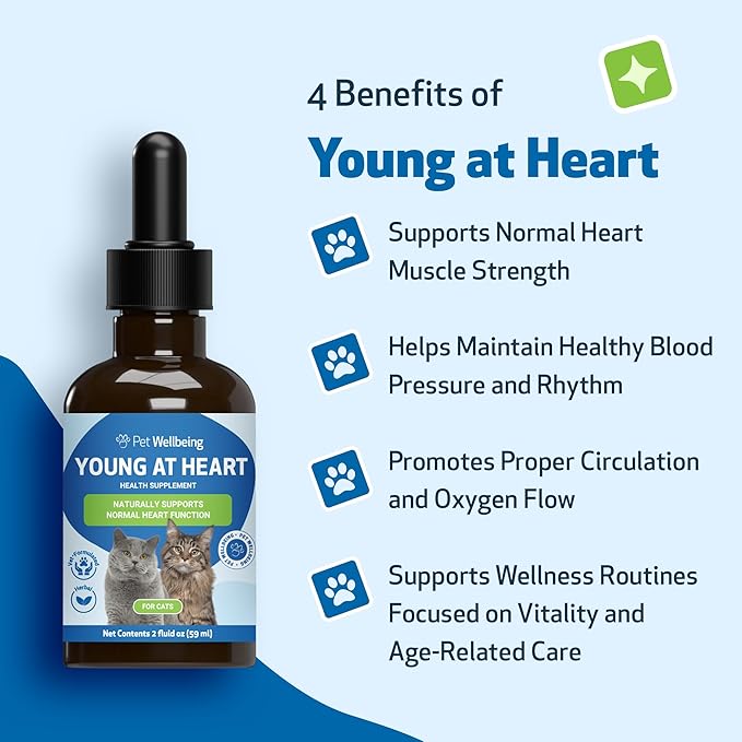 Pet Wellbeing Young at Heart for Cats - Vet-Formulated - Heart Health, Circulatory & Cardiovascular System, Hawthorn, Motherwort, Schisandra - Herbal Supplement 2 oz (59 ml)