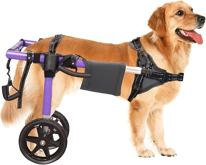 Dog Wheelchair for Back Legs - Lightweight Aluminum Alloy Dog Wheelchair, Upgraded All-Terrain Tires for Large Dogs, 48.5-66.1 lbs(L)
