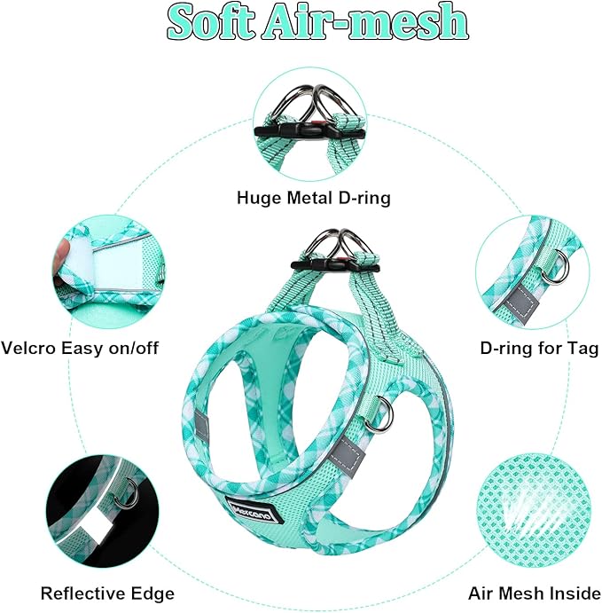 Mercano Soft Mesh Dog Harness and Leash Set, No-Chock Step-in Reflective Breathable Lightweight Easy Walk Vest Harnesses with Safety Buckle for Small Dogs, Cats (Light Green, XXS)