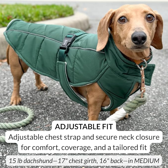 DJANGO Insulated Puffer Dog Jacket with Harness Hole – Warm, Water-Repellent Winter Dog Coat Small Dogs, Dachshunds, Puppies – Adjustable, Reflective Cold Weather Dog Apparel – Lafayette Green, Medium