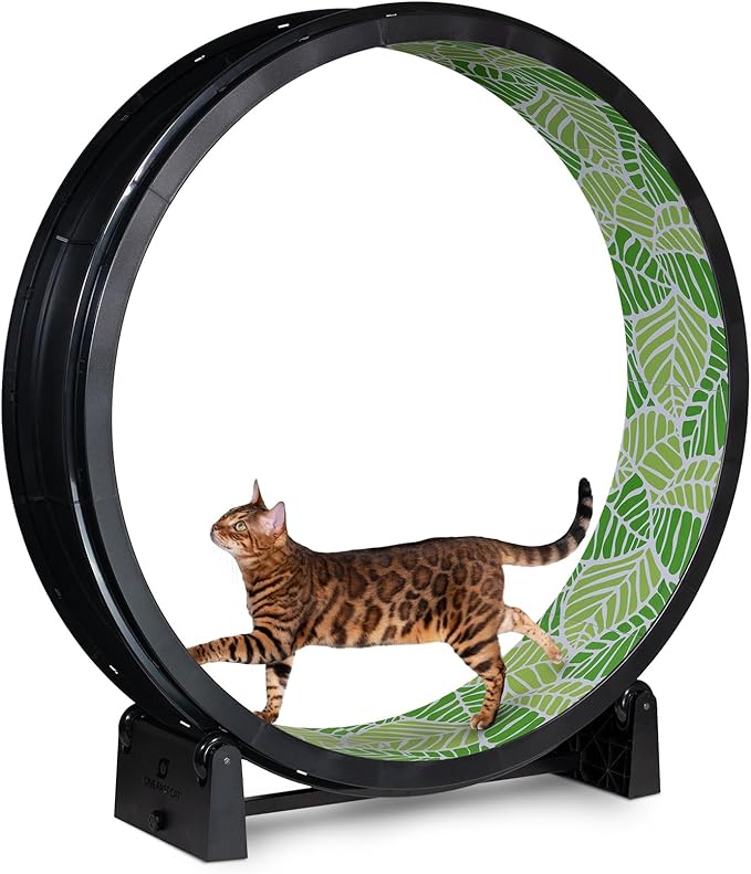 One Fast Cat - Cat Exercise Wheel - Gen. 7 - Safe 48" Diameter - Made in The USA - Black Wheel with Jungle Leaves Foam Traction Pads and Light-Up LED Inline Wheels