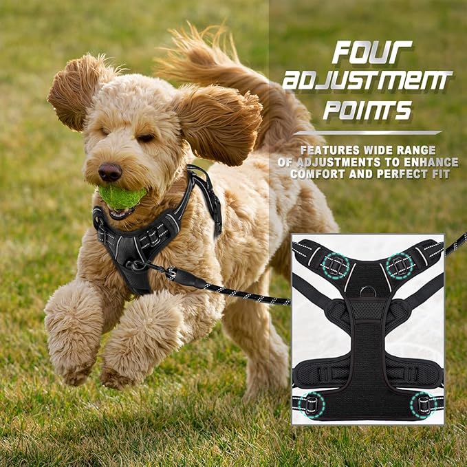 BARKBAY No Pull Dog Harness Front Clip Heavy Duty Reflective Easy Control Handle for Large Dog Walking(Black,XS)