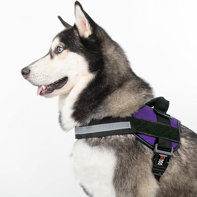 Dogline Dog Harness, Reflective No-Pull Adjustable Vest with Handle for Walking, Training, Breathable, No - Choke Harness for Small, Medium or Large Dogs Room for Patches Girth 15 to 18 in Purple