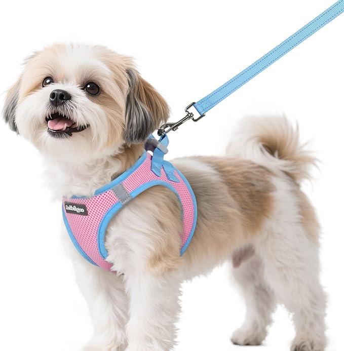 rabbitgoo Dog Harness Small Sized and Leash Set, Step-in Breathable Pet Harness, Soft Walking Reflective Puppy Vest for Small Dogs, Pink & Light Blue, S