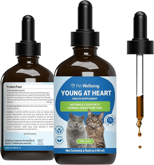 Pet Wellbeing Young at Heart for Cats - Vet-Formulated - Heart Health, Circulatory & Cardiovascular System, Hawthorn, Motherwort, Schisandra - Holistic Supplement 4 oz (118 ml)